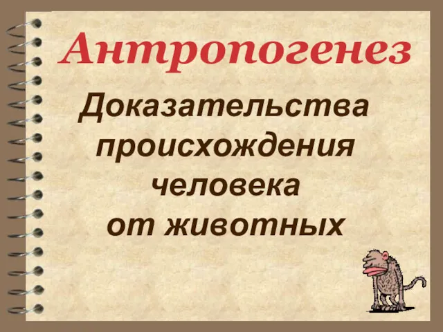 Антропогенез Доказательства происхождения человека от животных