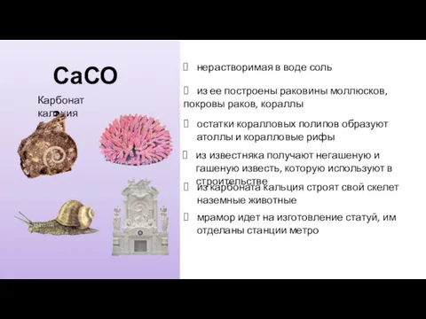 СаСО3 Карбонат кальция нерастворимая в воде соль из ее построены