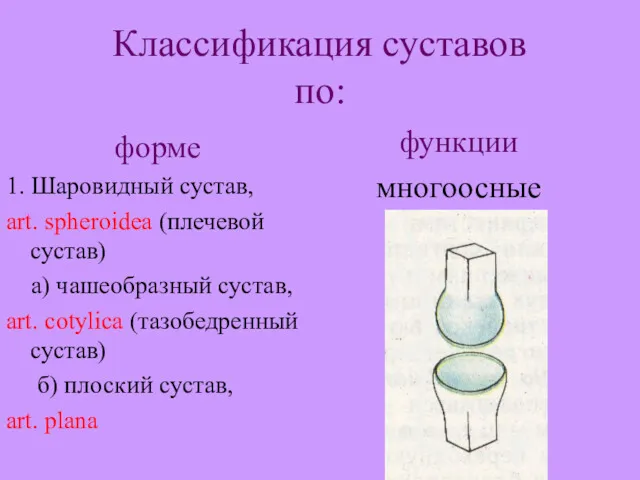 Классификация суставов по: форме 1. Шаровидный сустав, art. spheroidea (плечевой