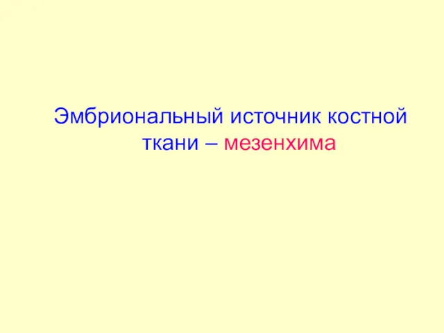 Эмбриональный источник костной ткани – мезенхима