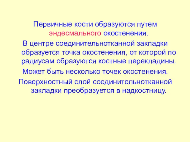 Первичные кости образуются путем эндесмального окостенения. В центре соединительнотканной закладки