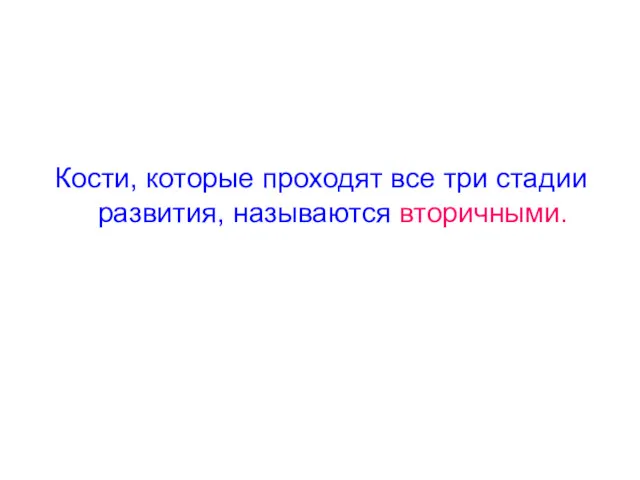 Кости, которые проходят все три стадии развития, называются вторичными.