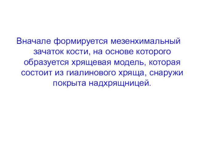 Вначале формируется мезенхимальный зачаток кости, на основе которого образуется хрящевая