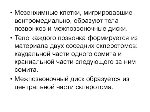 Мезенхимные клетки, мигрировавшие вентромедиально, образуют тела позвонков и межпозвоночные диски.