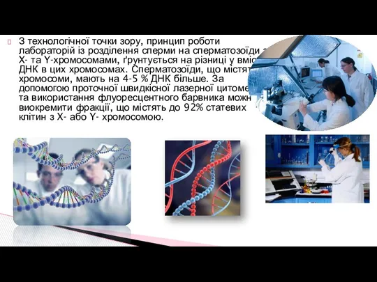 З технологічної точки зору, принцип роботи лабораторій із розділення сперми