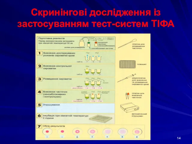 Скринінгові дослідження із застосуванням тест-систем ТІФА