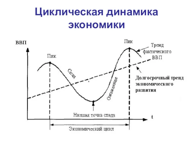 Циклическая динамика экономики