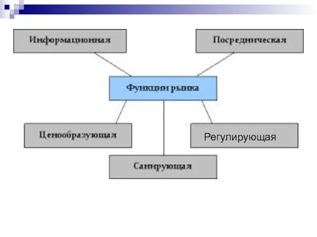 Регулирующая