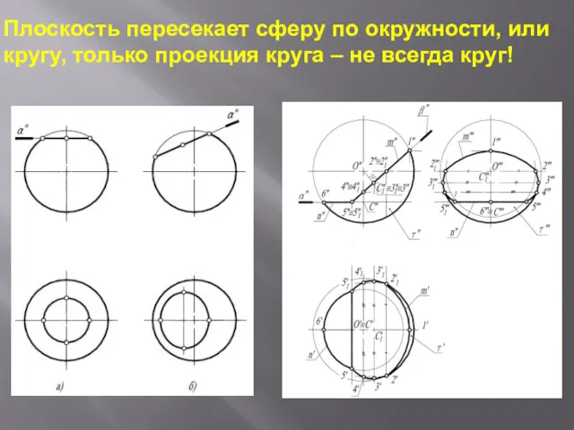 Плоскость пересекает сферу по окружности, или кругу, только проекция круга – не всегда круг!