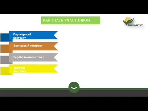 КАК СТАТЬ УЧАСТНИКОМ Золотой контракт Партнерский контракт Бронзовый контракт Серебряный контракт