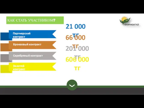 КАК СТАТЬ УЧАСТНИКОМ? Золотой контракт Партнерский контракт Бронзовый контракт Серебряный