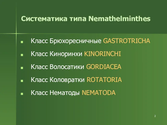 Класс Брюхоресничные GASTROTRICHA Класс Киноринхи KINORINCHI Класс Волосатики GORDIACEA Класс