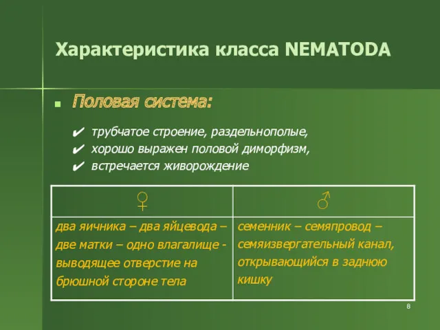 Половая система: трубчатое строение, раздельнополые, хорошо выражен половой диморфизм, встречается живорождение Характеристика класса NEMATODA