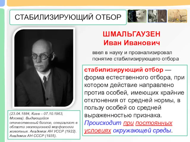 (23.04.1884, Киев – 07.10.1963, Москва). Выдающийся отечественный биолог, специалист в