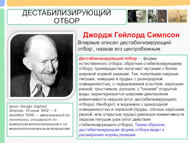 Дестабилизирующий отбор — форма естественного отбора, обратная стабилизирующему отбору: преимущество