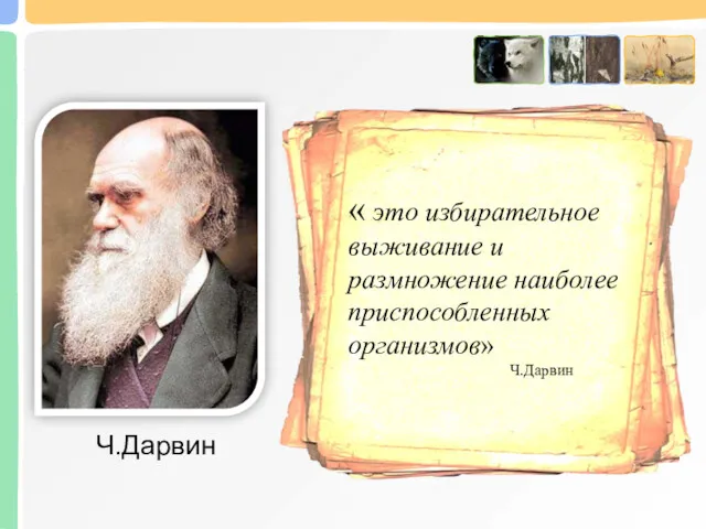 « это избирательное выживание и размножение наиболее приспособленных организмов» Ч.Дарвин Ч.Дарвин