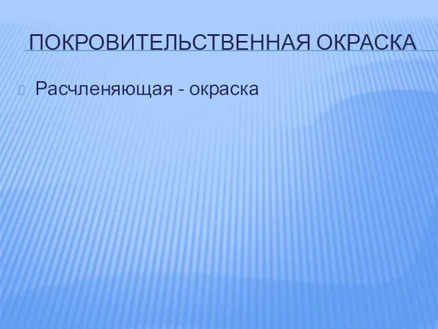 ПОКРОВИТЕЛЬСТВЕННАЯ ОКРАСКА Расчленяющая - окраска