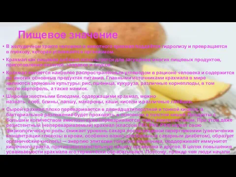 Пищевое значение В желудочном тракте человека и животного крахмал поддаётся