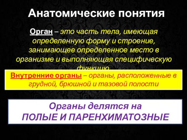 Анатомические понятия Орган – это часть тела, имеющая определенную форму