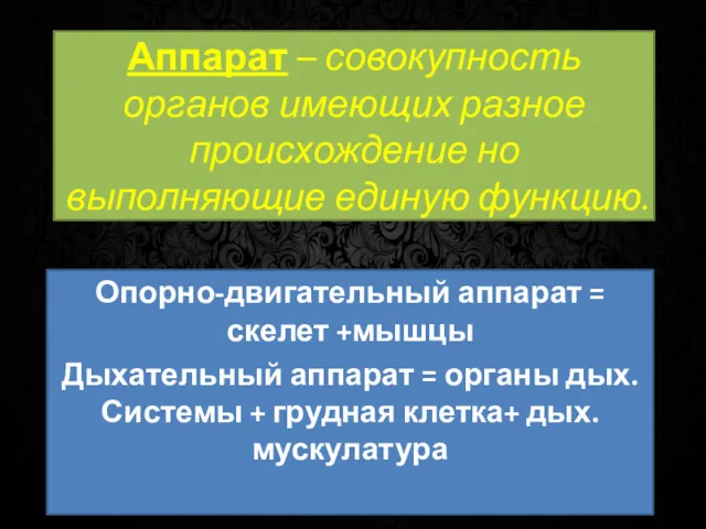 Аппарат – совокупность органов имеющих разное происхождение но выполняющие единую