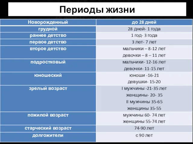 Периоды жизни