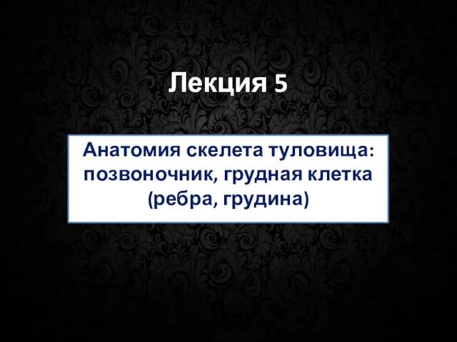 Лекция 5 Анатомия скелета туловища: позвоночник, грудная клетка (ребра, грудина)