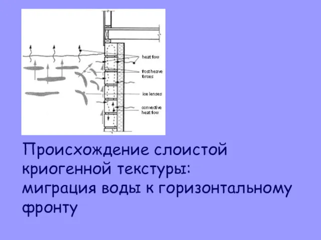 Происхождение слоистой криогенной текстуры: миграция воды к горизонтальному фронту