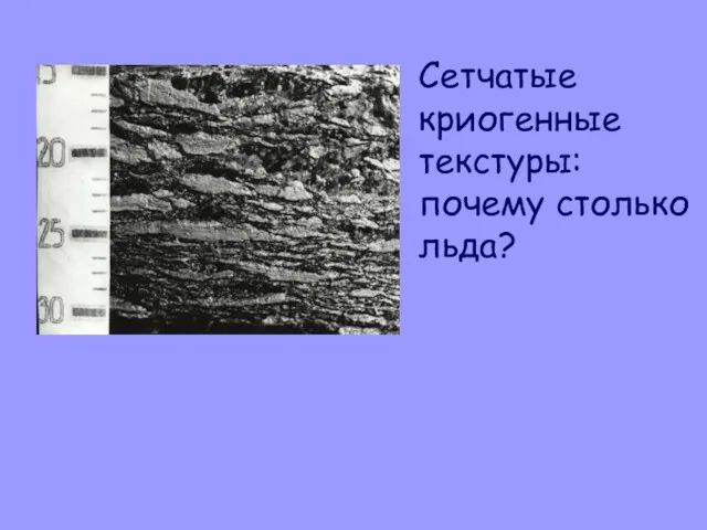 Сетчатые криогенные текстуры: почему столько льда?