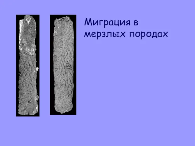 Миграция в мерзлых породах