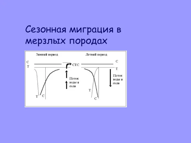 Сезонная миграция в мерзлых породах