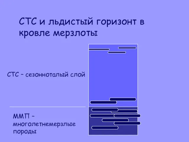 СТС и льдистый горизонт в кровле мерзлоты СТС – сезонноталый слой ММП – многолетнемерзлые породы