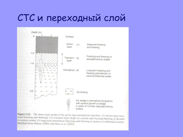 СТС и переходный слой