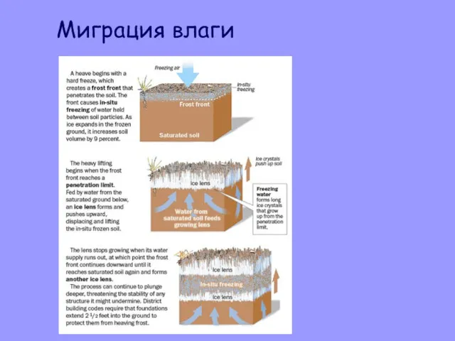 Миграция влаги