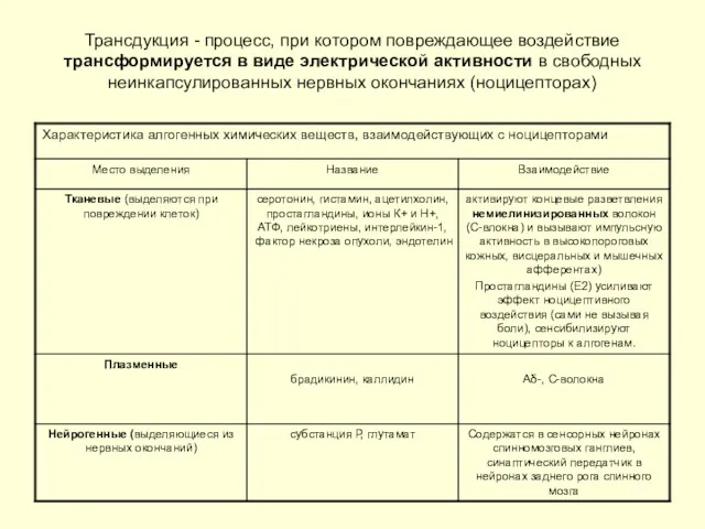 Трансдукция - процесс, при котором повреждающее воздействие трансформируется в виде