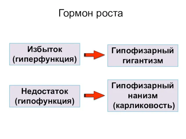 Гормон роста Избыток (гиперфункция) Недостаток (гипофункция) Гипофизарный нанизм (карликовость) Гипофизарный гигантизм