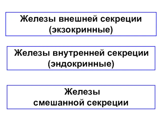 Железы внешней секреции (экзокринные) Железы смешанной секреции Железы внутренней секреции (эндокринные)