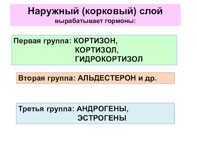 Наружный (корковый) слой вырабатывает гормоны: Первая группа: КОРТИЗОН, КОРТИЗОЛ, ГИДРОКОРТИЗОЛ