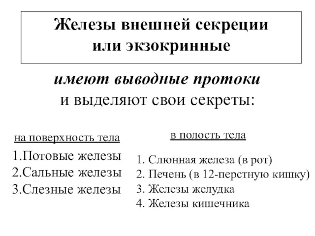 Железы внешней секреции или экзокринные имеют выводные протоки и выделяют