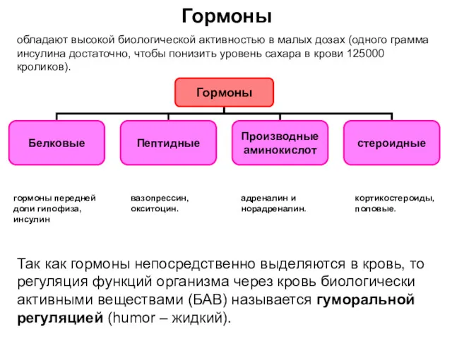 Гормоны обладают высокой биологической активностью в малых дозах (одного грамма