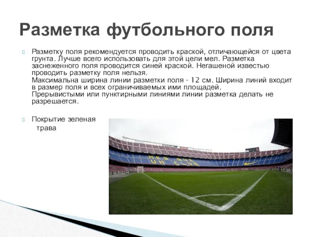 Разметку поля рекомендуется проводить краской, отличающейся от цвета грунта. Лучше