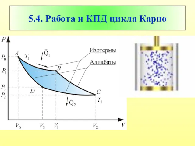 5.4. Работа и КПД цикла Карно