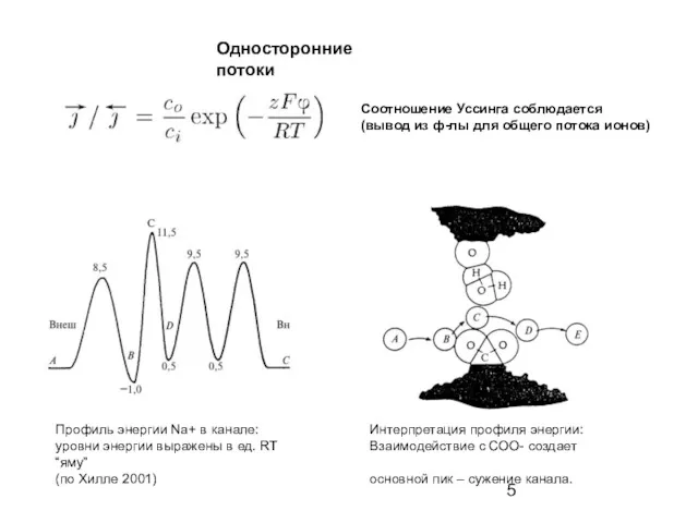 Соотношение Уссинга соблюдается (вывод из ф-лы для общего потока ионов)