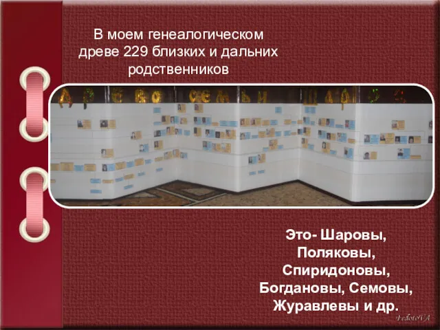 В моем генеалогическом древе 229 близких и дальних родственников Это-