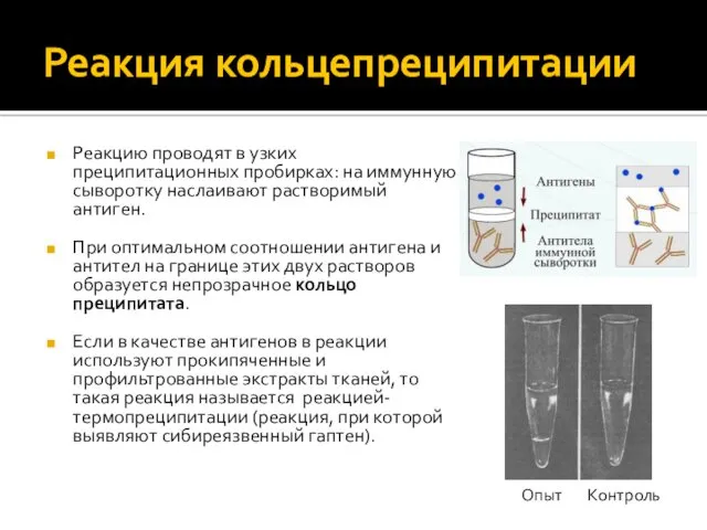 Реакция кольцепреципитации Реакцию проводят в узких преципитационных пробирках: на иммунную