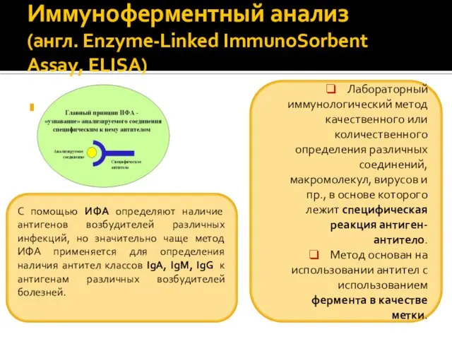 Иммуноферментный анализ (англ. Enzyme-Linked ImmunoSorbent Assay, ELISA) Лабораторный иммунологический метод качественного или количественного