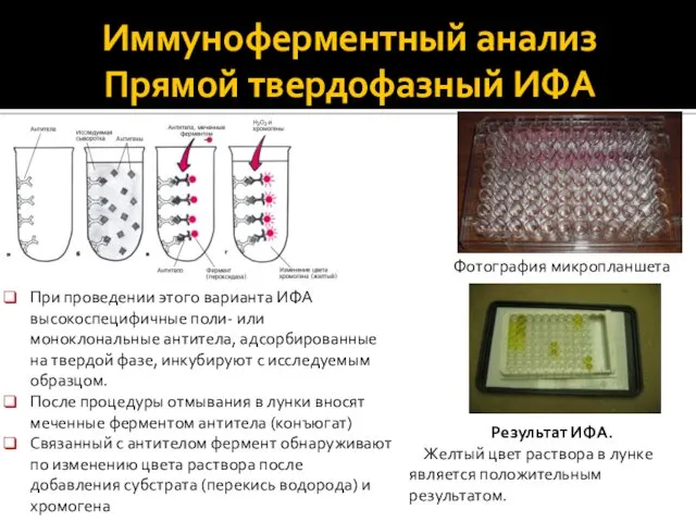 Иммуноферментный анализ Прямой твердофазный ИФА Результат ИФА. Желтый цвет раствора