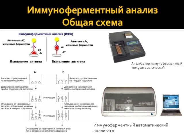 Иммуноферментный анализ Общая схема Анализатор иммуноферментный полуавтоматический Иммуноферментный автоматический анализато