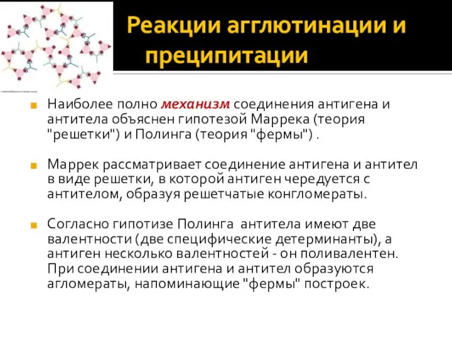 Реакции агглютинации и преципитации Наиболее полно механизм соединения антигена и