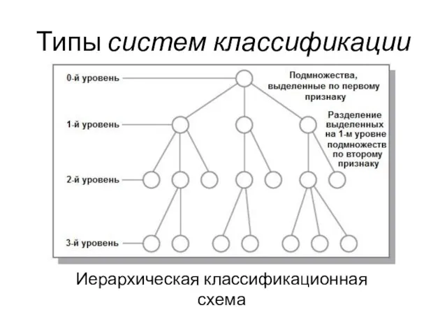 Типы систем классификации Иерархическая классификационная схема