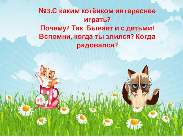 С каким котёнком интереснее играть? №3.С каким котёнком интереснее играть?